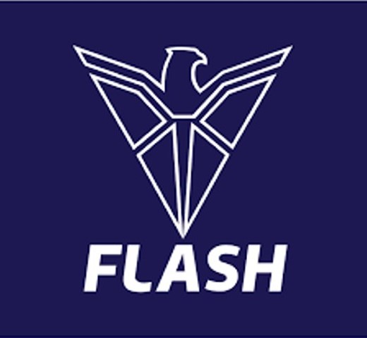 FLASH Group