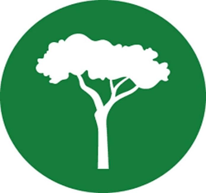 TREEI Foundation