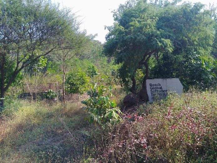 Forests by Heartfulness