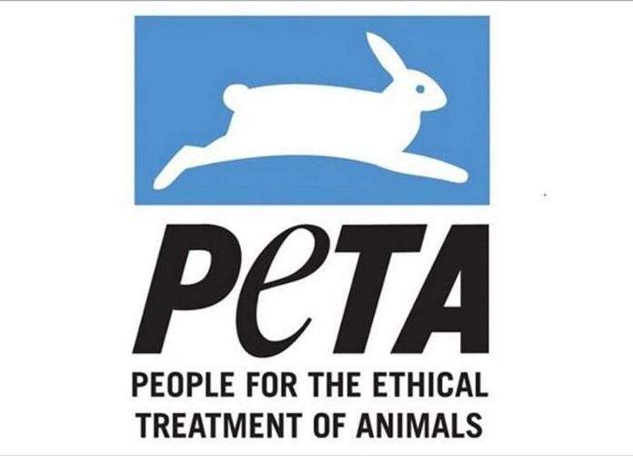 Illegal Cockfighting: