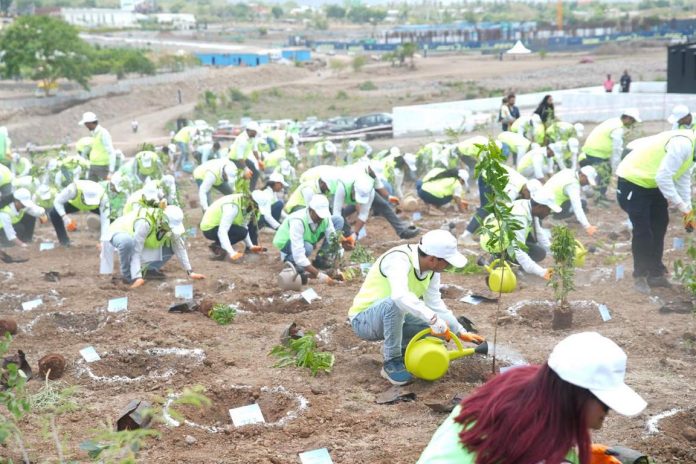 Green Milestone by Planting 1,045 Trees
